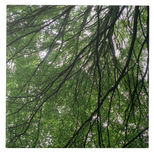 Branches et carreaux Feuille (Devant)