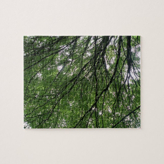 Branches et Puzzle Feuille (Horizontal)