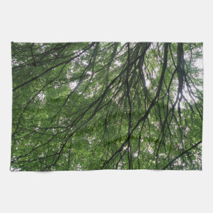Branches et serviette de cuisine Feuille