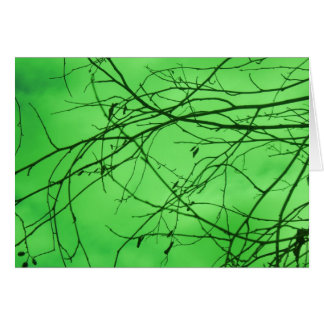 Branches Vertes