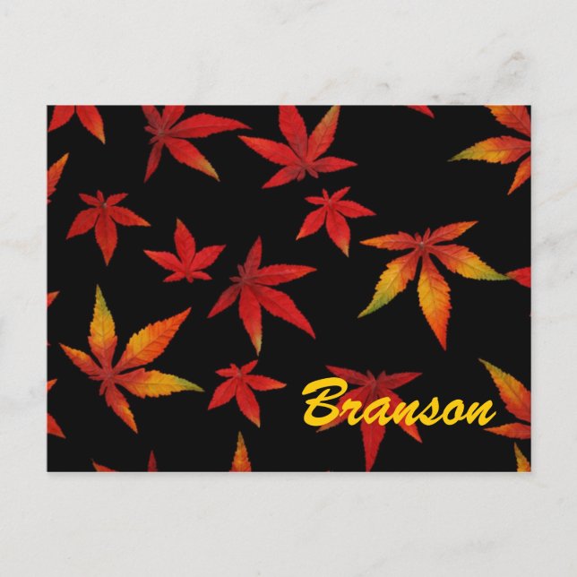 Branson Missouri Automne Feuilles Carte postale (Devant)