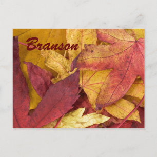 Branson Missouri Automne Feuilles Carte postale