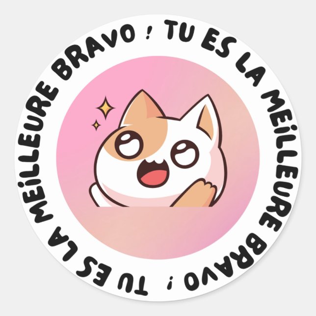 Bravo Tu Es La Meilleure Kawaii Cat Sticker (Devant)