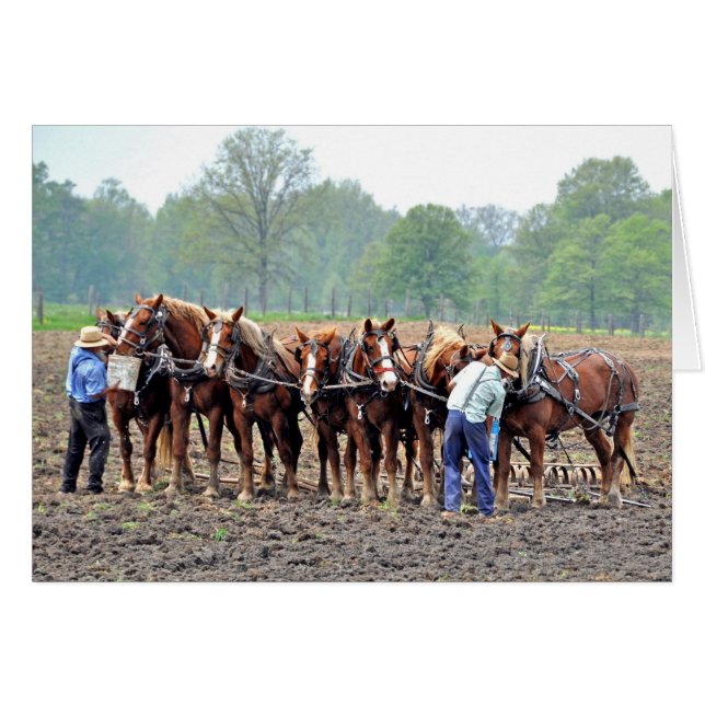 Breaktime (Devant horizontal)