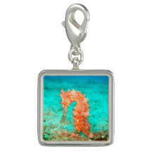 Coral reef hippocampe orange et tropical turquoise