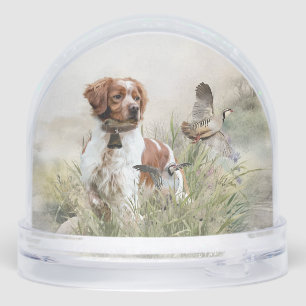 Bretagne Espagnol, Bretagne française