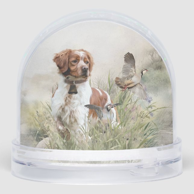 Bretagne Espagnol, Bretagne française (Arrière)