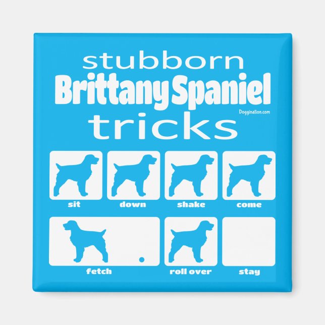 Bretagne têtue Spaniel Tricks Magnet (Devant)