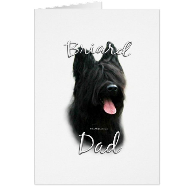 Briard papa 2 (Devant)