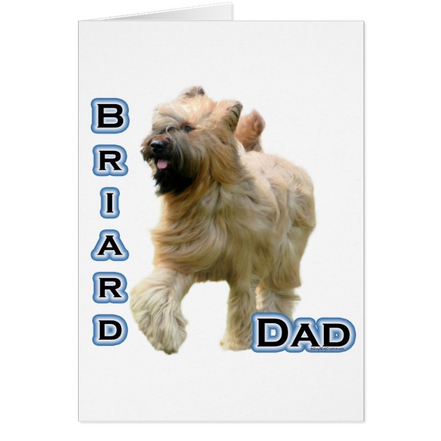 Briard papa 4 (Devant)