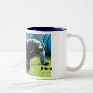 Briard tasse