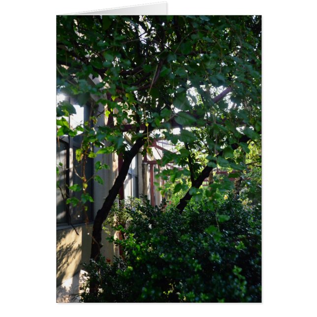 Brickbottom Couryard (Devant)