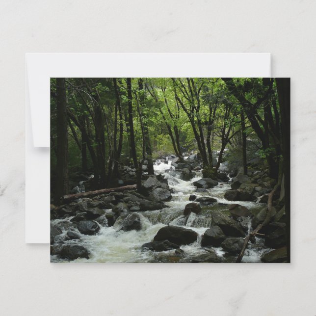 Bridalveil Creek à Yosemite National Park (Devant)