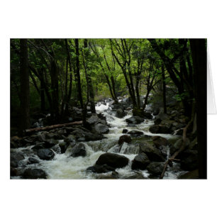 Bridalveil Creek dans le parc national de Yosemite