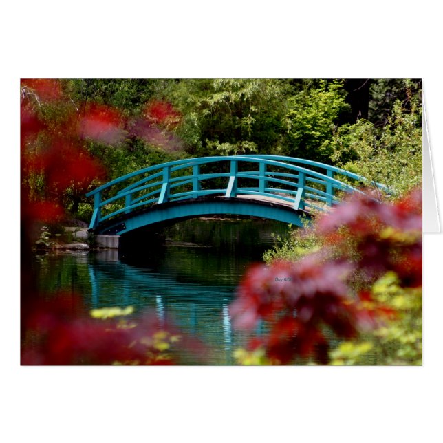 Bridge, Big Springs Gardens (Devant horizontal)