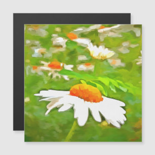 Bright Colorful Jardin blanc pâle marguerites v5