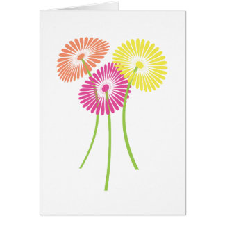 Bright Gerbera