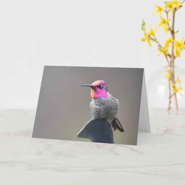 Bright Hummingbird - Carte d'art encadrée (Fleur jaune)
