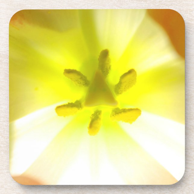 Bright Jaune Floral dessous de verre plastique dur (Devant)