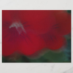 Bright Red Modern Flowers photographie