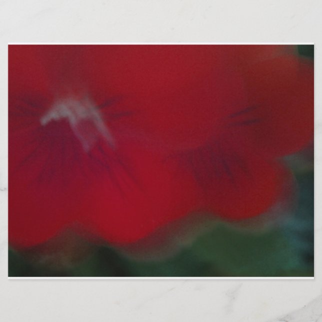 Bright Red Modern Flowers photographie (Devant)