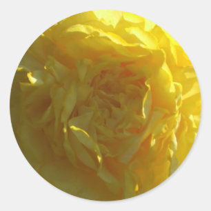 Bright Yellow Peony Peonies Sticker Flower