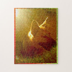 Brille Sur Moi Berger Allemand #2 Puzzle