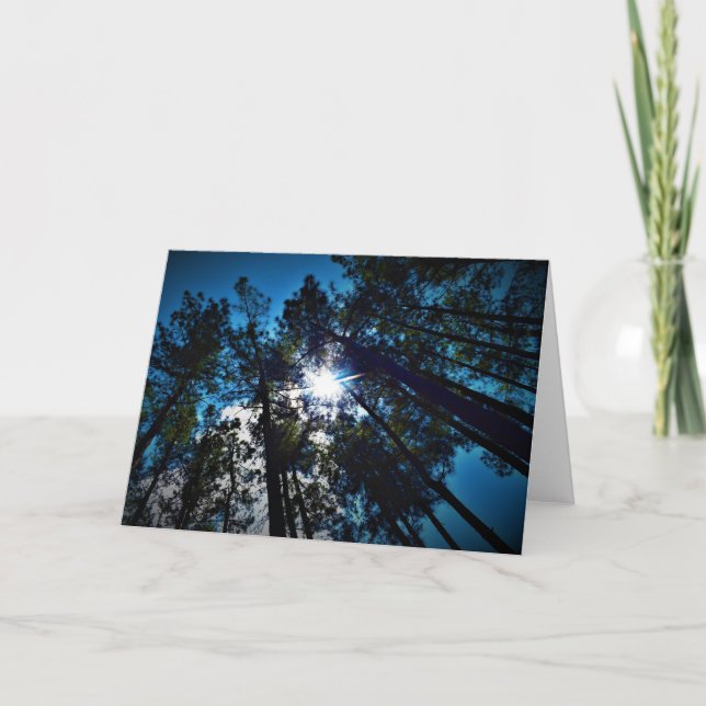 Briller par, carte (Devant)