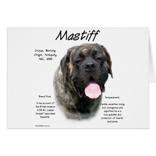 Brindle Mastiff (Devant horizontal)