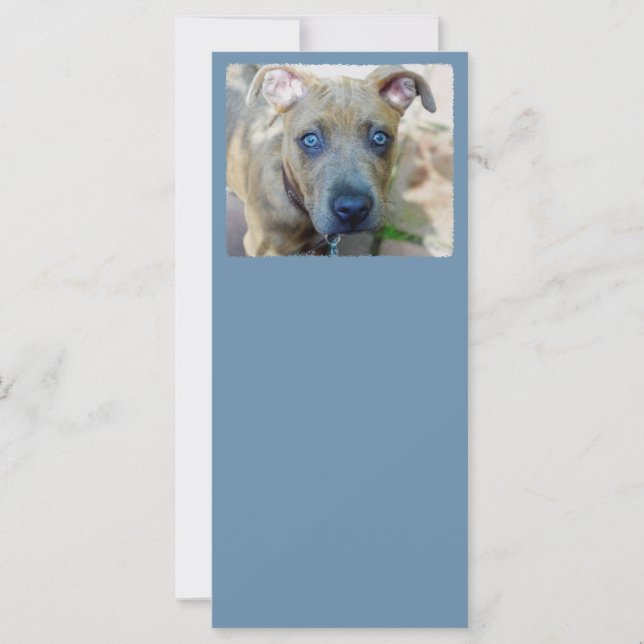 Brindle Pit Bull Puppy par Shirley Taylor (Devant)