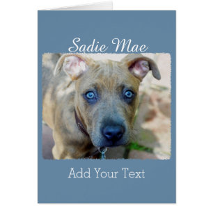 Brindle Pit Bull Puppy par Shirley Taylor