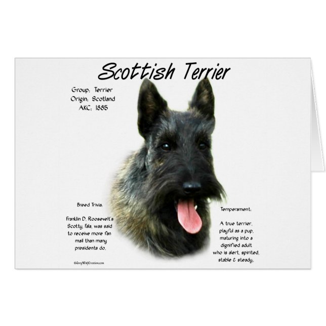 Brindle Scottish Terrier History (Devant horizontal)