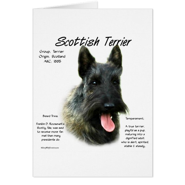 Brindle Scottish Terrier History (Devant)