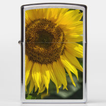 Briquet Zippo - Tournesol Jaune