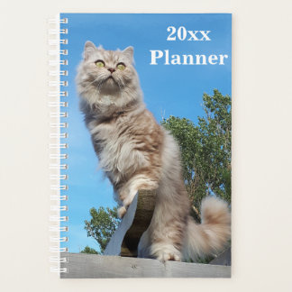 Britanniques Longhair Cat Annuel Planificateur - P