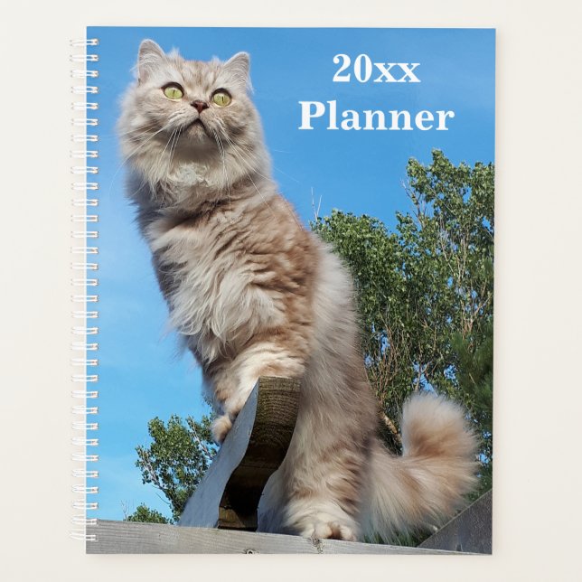 British Longhair Cat Yearly Planner (Devant)