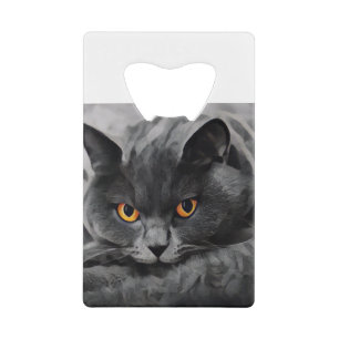 British Shorthair Kitty