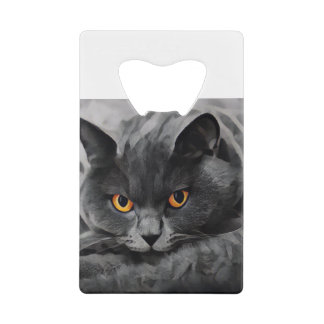 British Shorthair Kitty