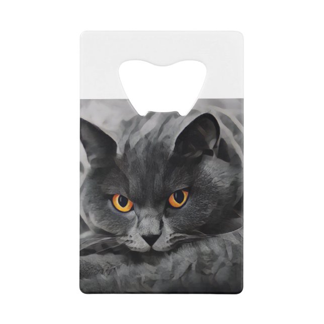 British Shorthair Kitty (Devant)