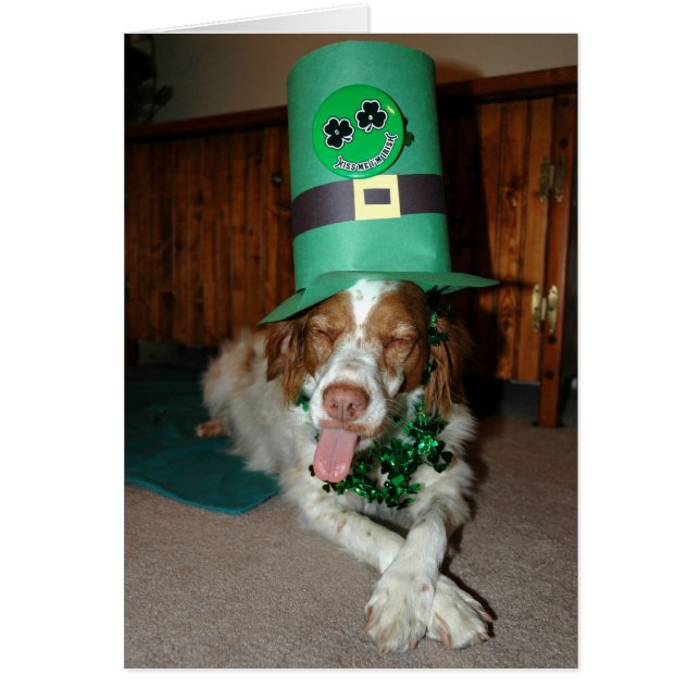 BRITNEY O'STOCK (Devant)