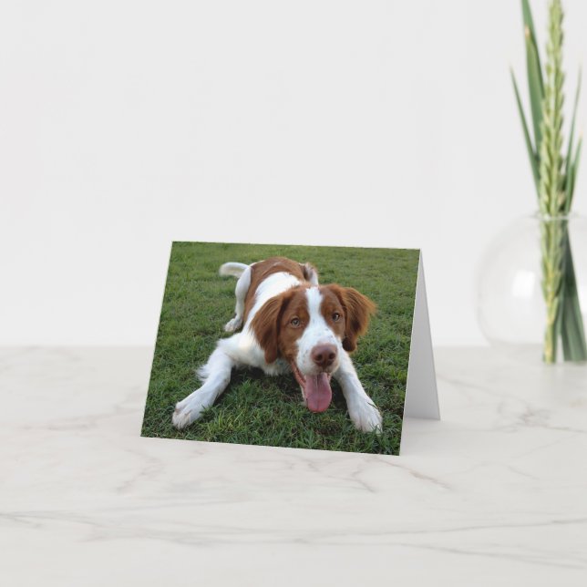 Brittany Spaniel Chien Chien Blanc Carte de note (Devant)