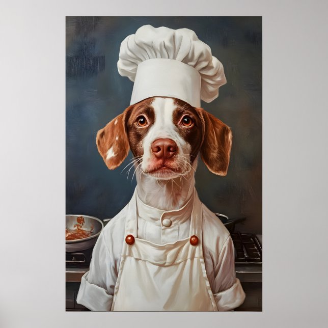 Brittany Spaniel In Chefs Hat Poster, Pet Poster (Devant)