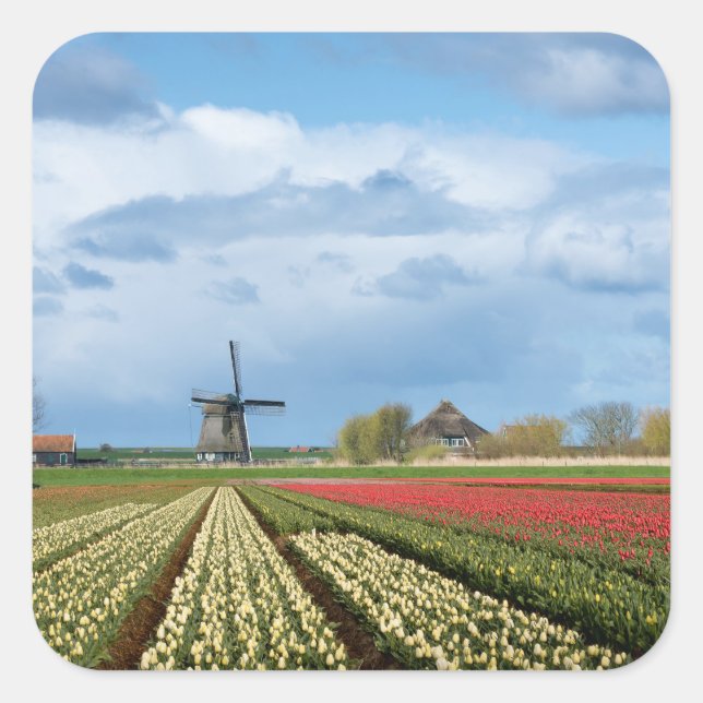 Brochure à vent et tulipes autocollant paysage (Devant)