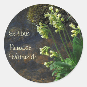 Brochure autocollant de plaque de fleurs de boeufs