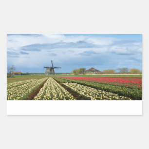Brochure et tulipes paysage autocollant rectangula
