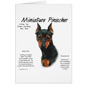 Brochure miniature (noir/rouille)