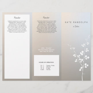 Brochure Spa moderne Lumineuse Salon d'argent