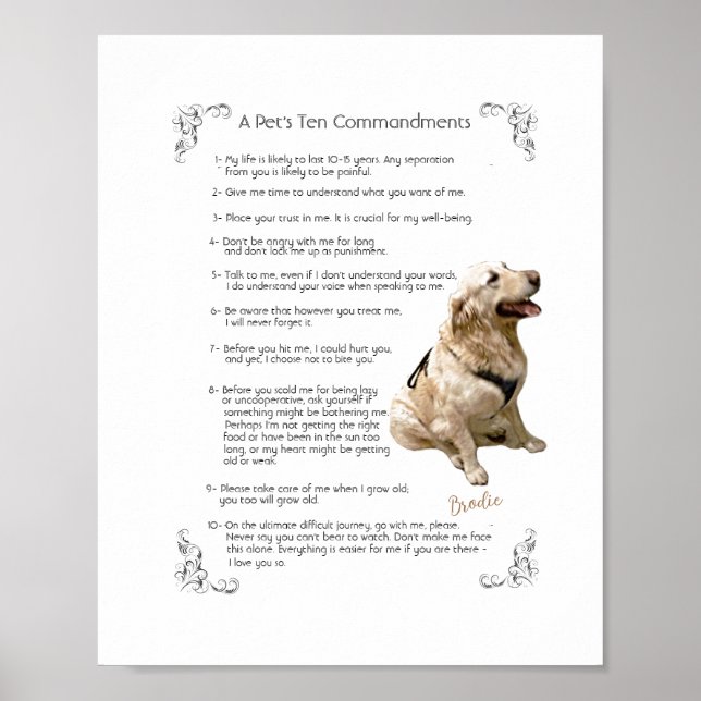 BRODIE - Poster (Devant)