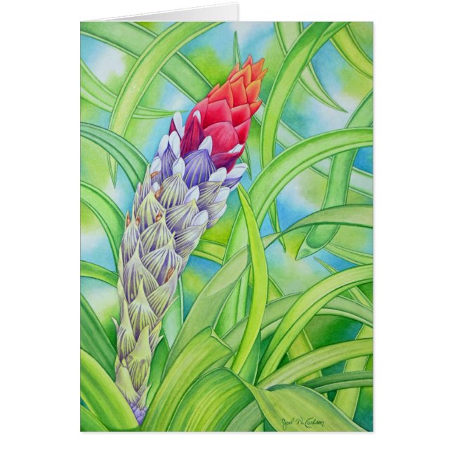 Bromeliad tropical (Devant)