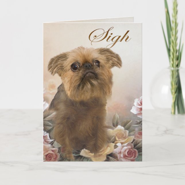 Brosell Griffon Vous Manquant Cartes (Devant)